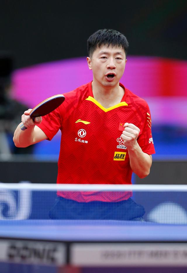 萨球迷带来 萨球迷带来